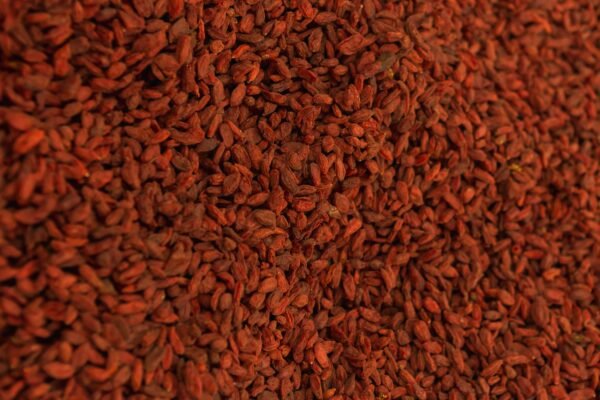 Munakka (Large Raisins with Seeds) -1 KG