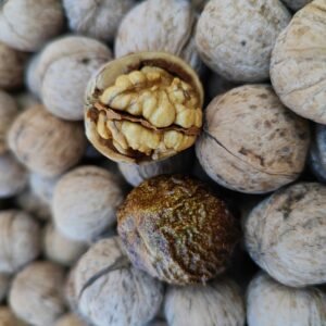 Chilean Walnuts (In-Shell Akhrot) – 1 KG